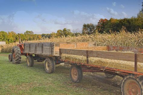 Hay Ride Ideas, Halloween Sleepover Party, Veggie Stand, Safety Planning, Hay Ride, Farm Wagons, Backyard Celebration, Fall Carnival, Amusement Rides