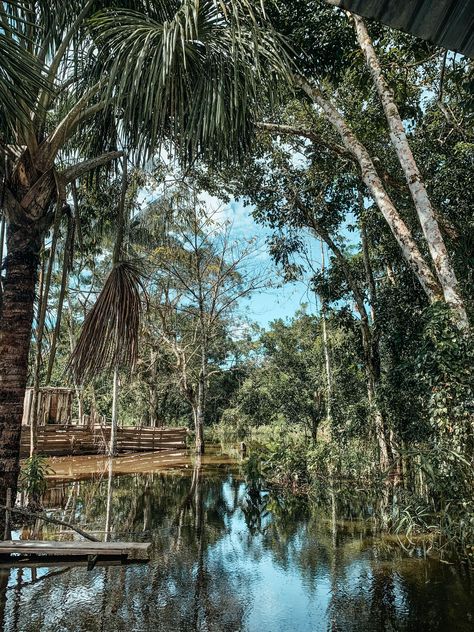 You have never experienced a place like the jungle in your life!😍 Fall in love with the diverse flora & fauna and stay in a comfortable lodge will discovering the Amazon!😊 #ExploorPeru 🐒 Jungle At Night, Iquitos Peru, Peru Travel Guide, Amazon Jungle, Night Hiking, Monkey Island, Jungle Adventure, Cusco Peru, Sacred Valley