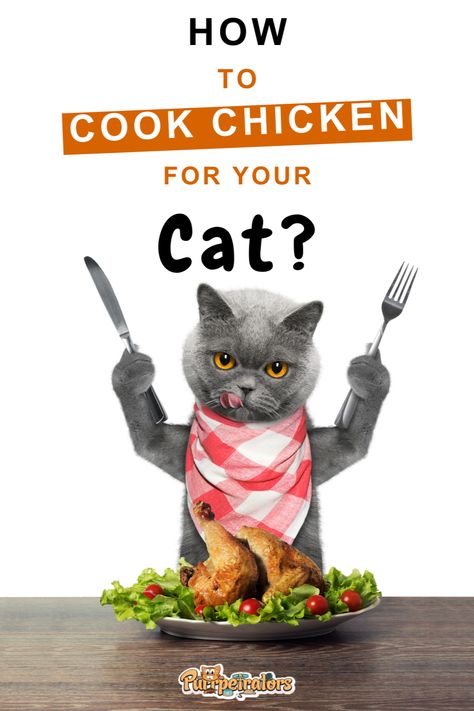 Feline fettuccine? Yes, please! 🐈 Uncover the secret to perfectly cooked, mouth-watering chicken that your kitty will adore. Our expert tips, tricks, and flavorful recipes in 'How To Cook Chicken For Cats? | Purrpetrators' will make you the cat-loving chef of your neighborhood. Recipes With Chicken And Potatoes, Undercooked Chicken, Chicken Cat, Chicken Jerky, Pet Things, Ways To Cook Chicken, Canned Cat Food, Pressure Cooker Chicken, Boiled Chicken