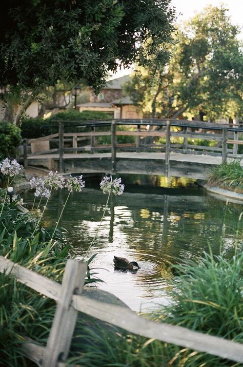 Seaport Village, San Diego Bayfront San Diego Seaport Village, Seaport Village San Diego, City Hall Wedding, Little Duck, Prom Pictures, 35mm Film, City Hall, San Diego, Photo Wall