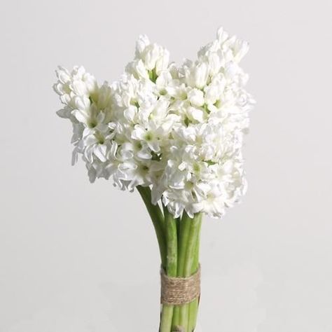 White Hyacinth Hyacinth Bouquet, White Hyacinth, Long Vases, Flower Stems, Winter Flowers, Christmas Flowers, Flower Branch, Silk Flower, All Flowers