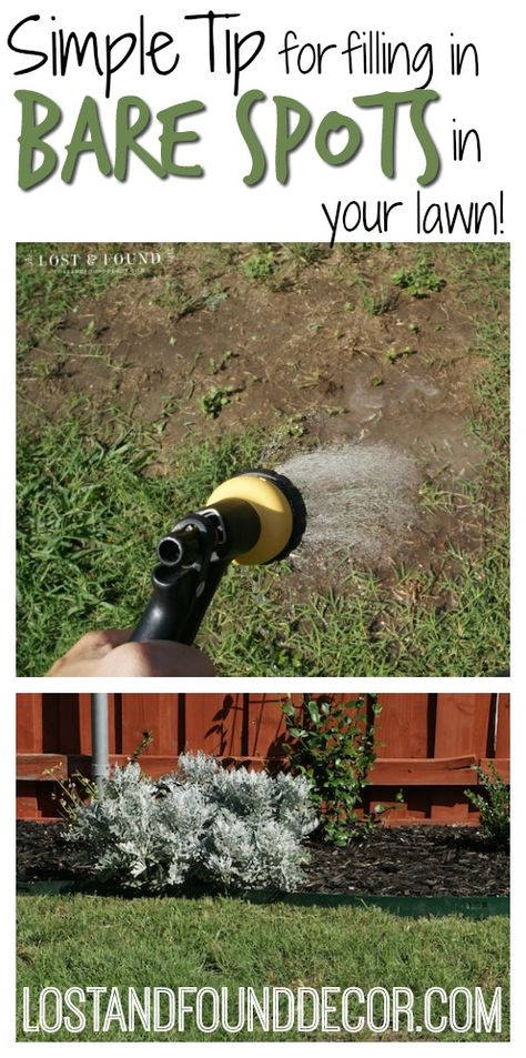 Thanks to my Mom for this awesome tip!  All you need is a yard hose and a little patience to fill in those bare spots in your grass. How To Get Grass To Grow In Bare Spots, Best Grass Seed, Savannah House, Fall Lawn, Diy Curb Appeal, Growing Grass, Gardening Landscaping, Tree Garden, Home Exterior Makeover