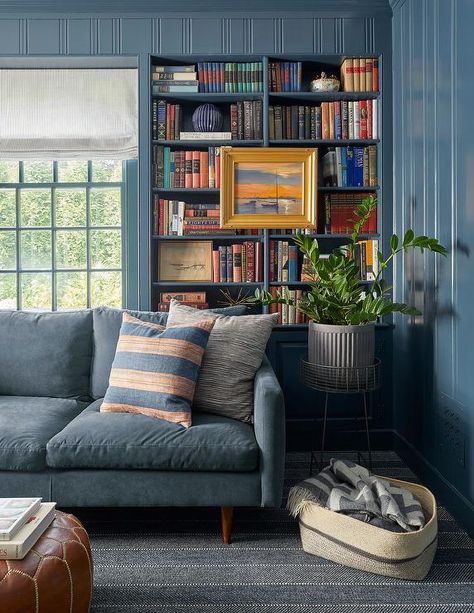 Blue Velvet Sofa in Front of Blue Built In Bookshelves - Transitional - Living Room White Sofa Living Room, Blue Velvet Couch, White Accent Pillow, Blue Accent Chairs, Blue Velvet Sofa, Cottage Living Rooms, European Home Decor, Transitional Living, Roman Shade