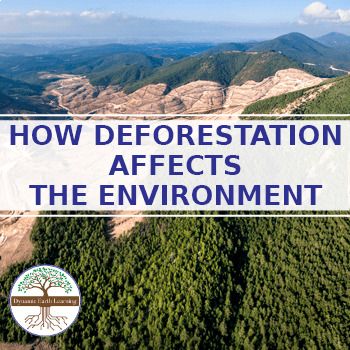 How Deforestation Affects the Environment? (Google, Digital PDF & Print) Deforestation Project, How Humans Affect The Environment, Weathering Erosion And Deposition Activities, What Is Deforestation, Weathering Erosion Deposition Anchor, Types Of Precipitation, Amazon Deforestation, What Is Resilience, Sustainability Education