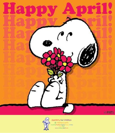 Happy April 1st!  #April #Spring #snoopy #edina #minnetonka #burnsville #cleanteeth #brush #floss  #dfcadent #dentistry #dentist Charlie Brown Quotes, Happy April, Hello April, Hello March, Peanuts Cartoon, Peanuts Characters, Snoopy Quotes, Snoopy Pictures, Snoop Dog