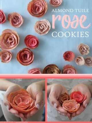 Almond Tuile Cookie Roses : 5 Steps (with Pictures) - Instructables Tuille Cookies, Almond Cookie, Rose Cookies, Diy Stencil, Rose Flavored, Cocoa Recipes, Diy Rose, Almond Meal, My First Love