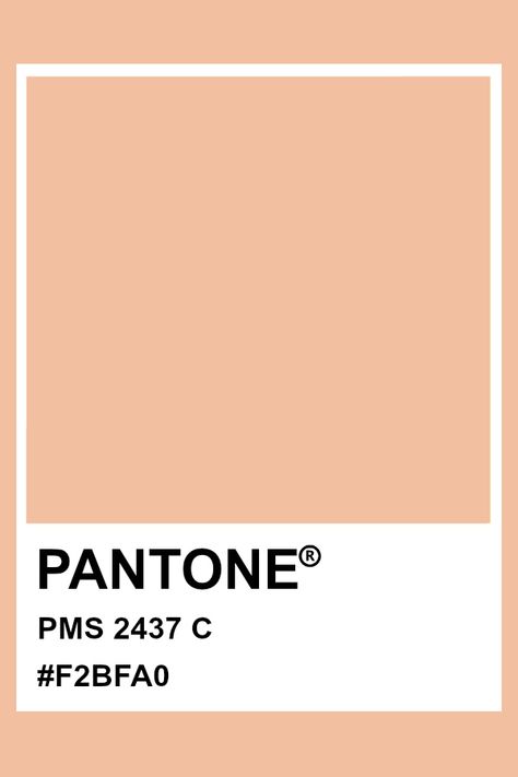 Pantone PMS 2437 #pantone #color Light Orange Pantone, Journaling Prints, Peach Vibes, Pantone Cards, Orange Pantone, Spring Pantone, Pantone Orange, Shade Of Orange, Pantone Matching System