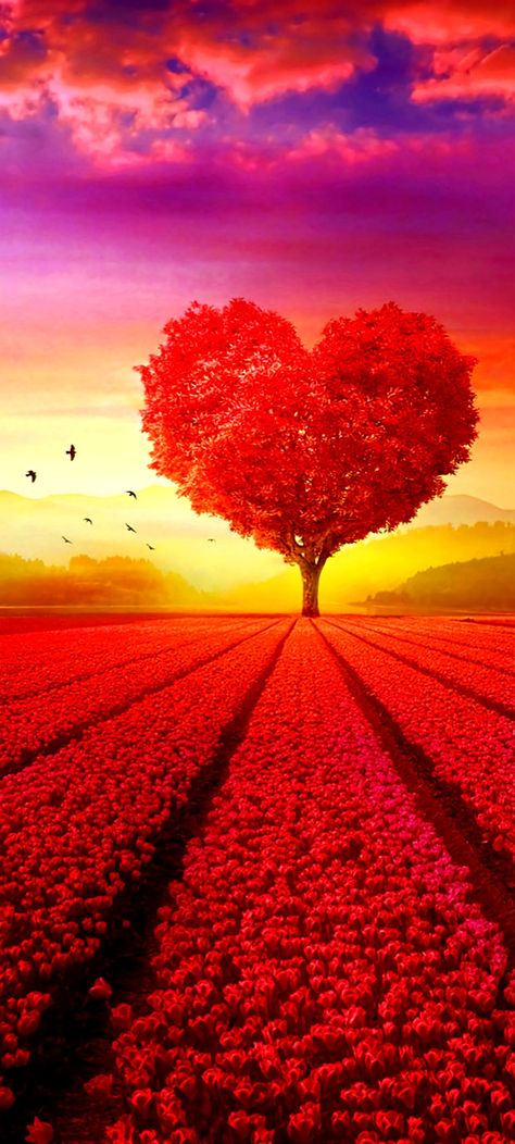 Areesha Khalid, Ftd Flowers, Tree Heart, Best Nature Images, Love Heart Images, Vintage Flowers Wallpaper, Beautiful Love Pictures, Wallpaper Animes, Red Tree