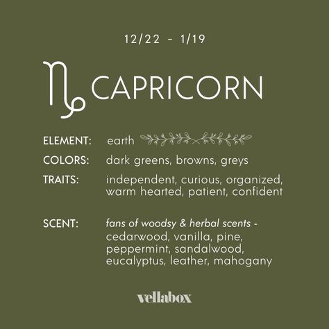 Abigailcore Aesthetic, January Cake, Capricorn Core, Scent Aesthetic, Aesthetic Capricorn, Capricorn Szn, Best Candle Scents, Saturn In Libra, Zodiac Party