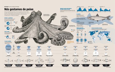 Fish Infographic, Urban Spaces Design, Fish Illustrations, Animal Infographic, Scientific Poster, Infographic Inspiration, Research Poster, Paper Art Sculpture, Information Visualization