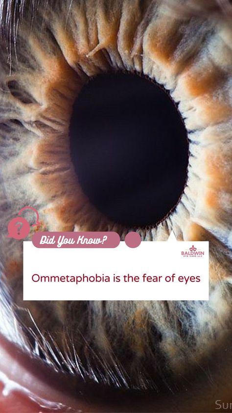 Ommetaphobia describes an extreme fear of eyes. Like other phobias, this type of fear can be strong enough to interfere with your daily routine and social activities, while also being considered irrational because of the lack of any “real” danger. Baldwin Eye Care - “We believe life is all about your vision” www.baldwineyecarellc.com #Eyefacts #Optometrist #Vision #Eyedoctor #trivia Fear Of Eyes, Eye Facts, Eye Doctor, Social Activities, The Fear, Be Strong, Eye Care, Daily Routine, Trivia