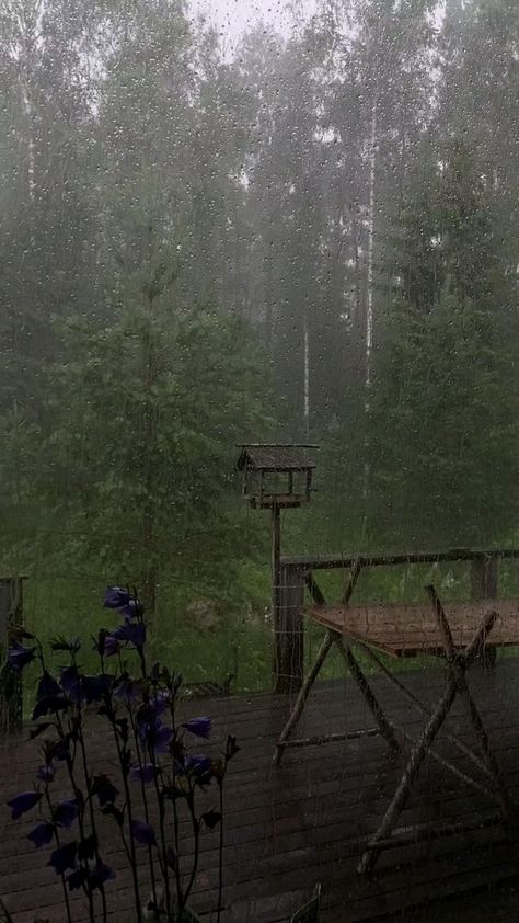 Relaxing Rain Sounds, Rainy Day Aesthetic, I Love Rain, Rain Sounds, Image Nature, Dark Nature Aesthetic, Forest Pictures, Sound Of Rain, Nature Gif