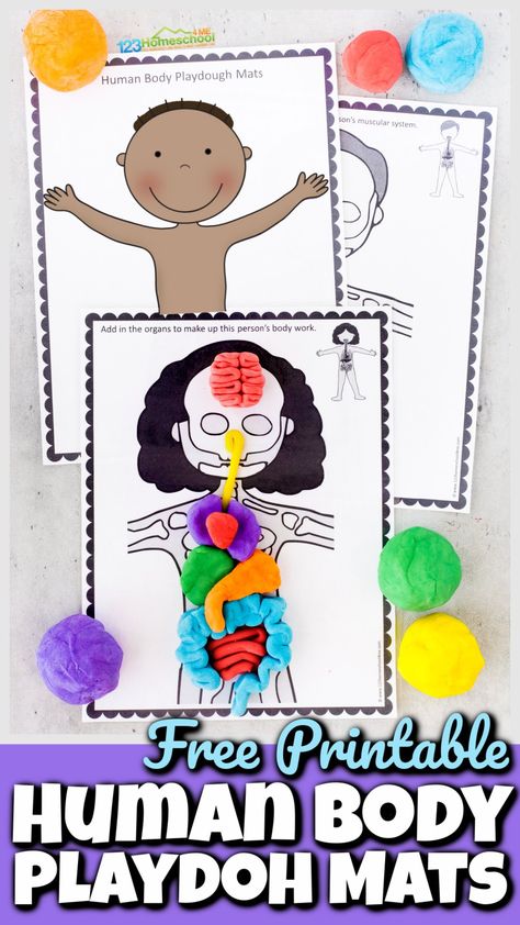 BEST Peeps Playdough Recipe - Easter Activities for Kids Skeletal System Project, Digestive System For Kids, Body Systems Project, Human Body Science Projects, Human Body Muscles, Human Body Printables, Human Body Projects, Free Human Body, Senses Preschool