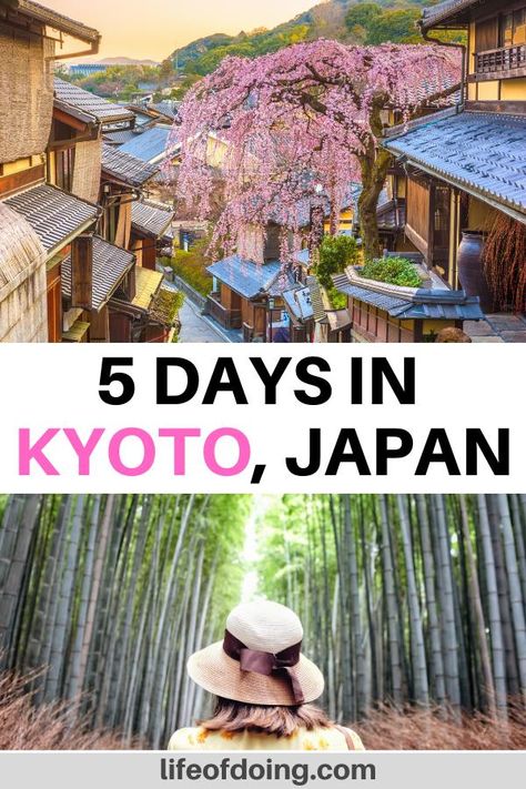 Headed to Kyoto, Japan? Here is the best 5 days in Kyoto itinerary to help you with your Kyoto travel planning. How to spend five days in Kyoto | Kyoto 5 day itinerary | Things to do in Kyoto | What to do in Kyoto | Kyoto travel guide | Beautiful places to visit in Kyoto | Kyoto photography | Kyoto travel map | Day trips from Kyoto | Where to stay in Kyoto | Best of Kyoto | Kyoto travel tips | Japan bucket list #LifeOfDoing #KyotoItinerary Seoul Nightlife, Kyoto Photography, Asia Cruise, Kyoto Itinerary, Kyoto Travel Guide, Visit Kyoto, Japan Bucket List, Japan Itinerary, Kyoto Travel