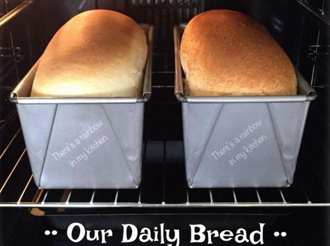 Our Daily Bread TM5 & TM31 White Bread Loaf by There's a rainbow in my kitchen. A Thermomix ® recipe in the category Breads & rolls on www.recipecommunity.com.au, the Thermomix ® Community. White Bread Loaf, Thermomix Recipes Dinner, Easy White Bread Recipe, Thermomix Recipes Healthy, Rainbow Bread, Bread Improver, Thermomix Bread, Thermomix Baking, Bread Rolls Recipe