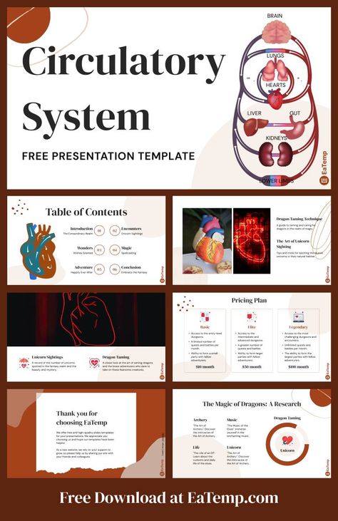 Circulatory System 13 Science Presentation Template, Powerpoint Science Presentation, Medical Presentation Design Powerpoint, Kidney Powerpoint Template, Physics Ppt Template, Professional Powerpoint Presentation, Presentation Slides Design, Canvas Learning, Background Powerpoint