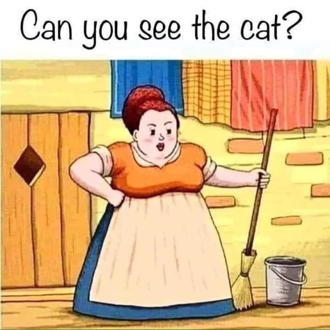 Can you see the cat? Brain Illusions, Funny Illusions, Logic Problems, Brain Teasers Riddles, Cool Illusions, Cat Brain, Cool Optical Illusions, Brain Teaser Puzzles, Hidden Objects