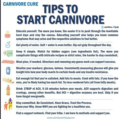 Microblog: Why Carnivore? - Nutrition With Judy Caveman Diet Food List, Carnivore Ideas, Lion Diet, Caveman Diet Recipes, Caveman Diet, Meat Diet, Carnivore Diet, Healthy Clean Eating, Diets For Beginners