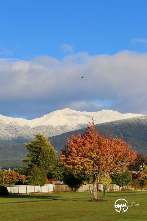 A quiet day after Milford Sound in Te Anau, New Zealand with a little side trip to the Te Anau Bird Sanctuary or Punanga Manu o Te Anau. Te Anau New Zealand, Te Anau, Bird Sanctuary, Bay Of Islands, Hiking National Parks, Milford Sound, Travel Log, Travel Around, The Great Outdoors