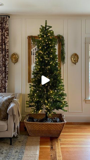 Ciara Kenaston | Interior Design on Instagram: "A Christmas Tree in a vintage French market basket is just my favorite! Not all tree stands work in a basket, so grab your patio umbrella stand and see how I make this work!! My @kingofchristmas tree: 7.5’ King Douglas Fir Slim Artificial Christmas Tree with 650 Warm White & Multi-Color LED Lights . . . . #christmas #christmastree #kingofchristmas #christmasdiy #christmasdecor tree in a basket" Vintage Christmas Tree Stands, Christmas Tree Rotating Stand, Xma Tree, French Country Christmas Tree, Christmas Tree Corner, Rotating Christmas Tree Stand, Christmas Goals, Rotating Christmas Tree, Xmas Tree Stands