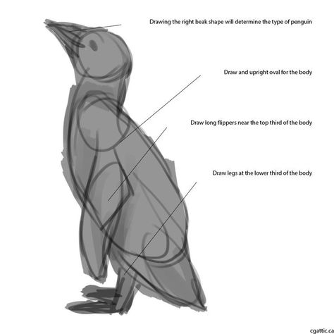 Draw A Penguin, Penguin Sketch, Types Of Penguins, Sea Creatures Drawing, Penguin Drawing, Penguin Art, Nature Sketch, Drawing Examples, Tmnt Artwork