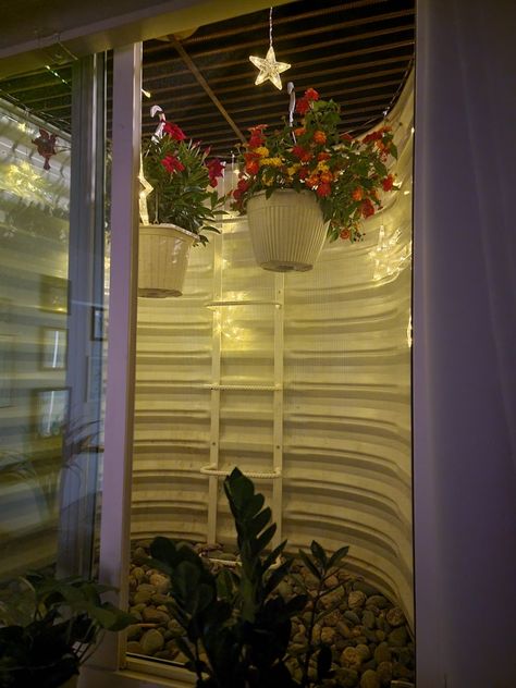 Egress Window Catio, Window Well Garden Basement, Egress Window Decor, Window Well Catio, Basement Window Well Ideas Decor, Window Seal Ideas Decor Bedroom, Window Well Ideas Basement, Window Well Ideas Plants, Window Well Decorating Ideas Plants