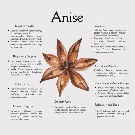 Meet the star of the herbal world! 🌟✨ Anise isn’t just a pretty spice—it’s packed with benefits for your digestion, hormones, and even your breath! From soothing tummy troubles to adding a sweet licorice twist to your recipes, this little star is pure magic. 🌿 How do you use anise in your daily life? Tea, baking, or aromatherapy? Let us know! 🌼🌟 #AniseMagic #HerbalRemedies #NaturalHealing #DigestiveHealth #StarAnise #HolisticLiving #HerbalPower #CulinaryHerbs #PlantMedicine #WellnessNatural... Star Anise Drink, Star Anise Tea Benefits, Recipes Using Star Anise, Star Anise Tea Recipes, Herbology Recipes, Star Anise Magical Properties, Anise Tea Benefits, Anise Benefits, Star Anise Recipes