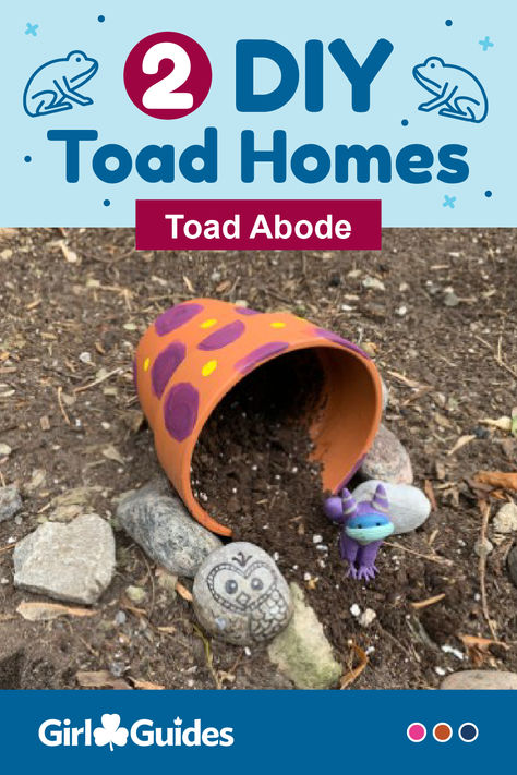 Protect toads! Kids will craft a toad home to help keep their hoppy friends safe from the elements. Toad Abode, Fairy Tale Crafts, Preschool Craft, Vegetable Gardening, Girl Guides, Toad, Preschool Crafts, Fairy Tale, Fairy Tales