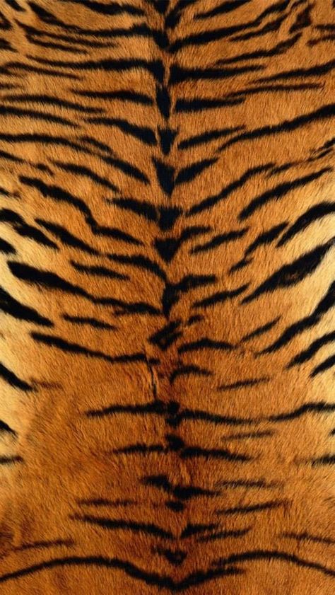 Tiger Fur, Tiger Wallpaper, Tiger Skin, Desktop Wallpaper Pattern, Orange Wallpaper, Printed Backgrounds, Backdrops Backgrounds, Print Wallpaper, Paint Shop