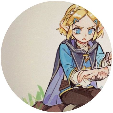 Zelda Drawing, Zelda Funny, Link Zelda, Zelda Art, Legend Of Zelda Breath, Zelda Breath, Cute Anime Profile Pictures, Cute Profile Pictures, Matching Profile Pictures