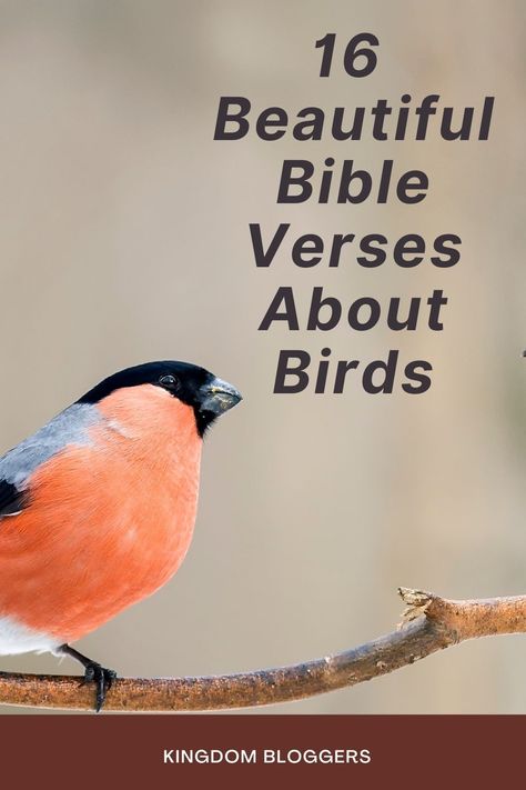 Bible Verses about birds continue to remind us how God will ALWAYS take care of us even more so than His creations. While the bird sings praises each and every morning, so should God’s children. Scriptures About Birds, Bible Verse Birds, Consider The Birds Scripture, Bible Verse About Sparrows, Bird Bible Verse Tattoo, Verses About Praising God, Birds Singing Quotes, Bible Verse About Birds, Bird Bible Verse