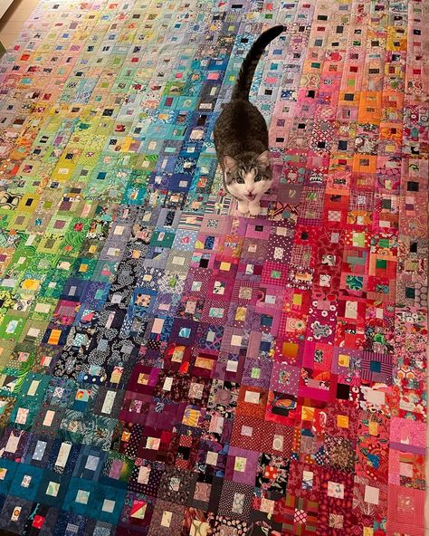 Finished quilt top!!! 720 #scrapinaboxsal inspired blocks. Second photo from late last night - what do you think my kitty is… | Instagram Colour Wash Quilts, Color Wash Quilts, Colourwash Quilt, Scrappy Log Cabin Quilts, Terry Rowland, Colorwash Quilts, Crumb Quilts, Quilt Collage, Contemporary Art Quilt