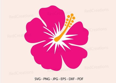 Hibiscus Flower Clipart, Hibiscus Illustration, Hibiscus Svg, Hibiscus Hawaii, Hawaii Flowers, Flower Tropical, Classic Cookies, Tropical Flower, Flower Svg