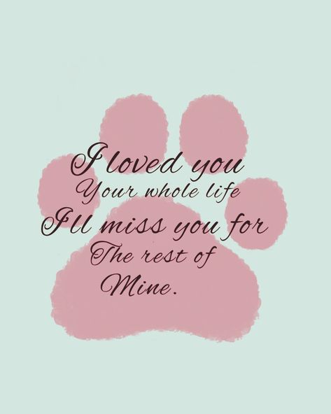 Doggy Heaven Quotes Miss You Dogs, Remembering Dog, Dog Remembrance Ideas, Losing A Dog Quotes, Losing A Pet Quotes, Dog Heaven Quotes, Dog Scrapbook Layouts, Miss My Dog, Dog Poems