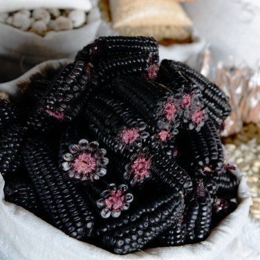 This is an absolutely beautiful dark dark purple corn. Also known as Kculli this ancient type of... Black Vegetables, Peruvian Corn, Purple Vegetables, Black Corn, Purple Corn, Black Fruit, Goth Garden, Gothic Garden, Rare Seeds