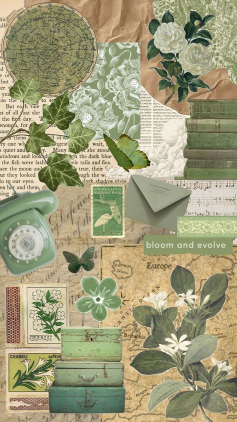 #vintage #green #greenaesthetic Green Aesthetic Vintage Collage, Asthetic Picture Wallpaper Vintage Green, Green Aesthetic Vintage Sticker, Aesthetic Green Journal, Green Aesthetic Wallpaper Vintage, Green Paper Aesthetic, Forest Green Scrapbook, Green Vintage Paper, Scrapbook Ideas Green Theme