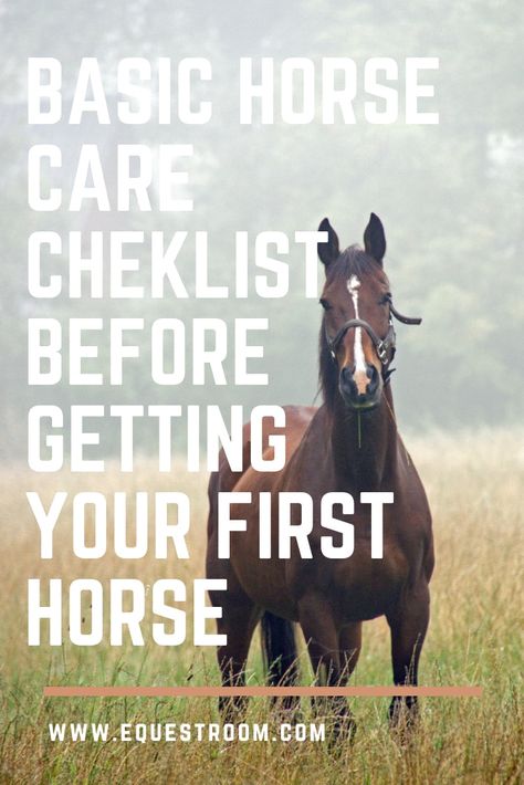 Are you ready for your first horse? Getting a new horse is always an exciting time! It would bring you a lot of happiness, as well as responsibility. Make sure you are ready for your first horse before you make a final decision. Here is a checklist for you, so you can make sure everything is ready to welcome your new friend! You have to understand the basics of feeding the horse. Each horse is different and accordingly has different needs. The amount of feed your horse needs will depend on m Senior Horse Care, Horse Ownership, Horseback Riding Tips, Buy A Horse, First Horse, Horse Care Tips, Winter Horse, Horse Facts, Horse Riding Tips