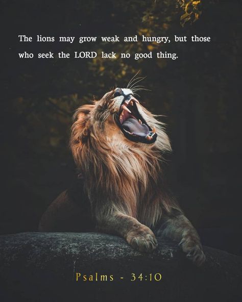 Psalm 34:10 Wallpaper, Psalm 34:10, Lion Bible Verse, Yeshua Quotes, Biblical Illustrations, Psalm 34 10, Godly Character, Christian Fall, Anointing Oil