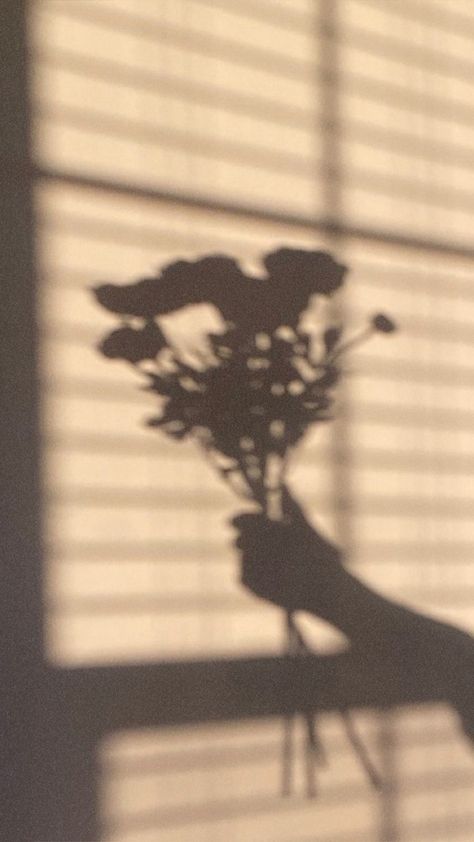 Shadow🍁 Flowers