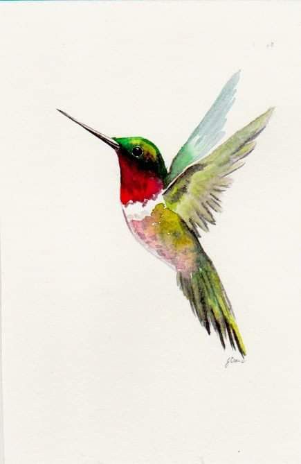 Hummingbird Watercolor Painting, How To Paint Hummingbirds Easy, Hummingbird Easy Painting, Hummingbird Drawing With Flowers, Hummingbird Watercolor, Hummingbird Watercolour, Watercolor Hummingbirds Easy, How To Paint Hummingbirds Watercolor, Humming Bird Watercolor