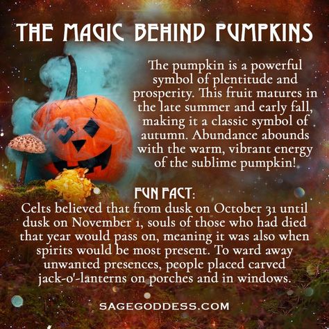 Lanterns On Porch, Pagan Yule, Halloween History, History Meaning, Fall Mood Board, Eclectic Witch, Autumn Magic, Witchcraft For Beginners, Life Is A Gift