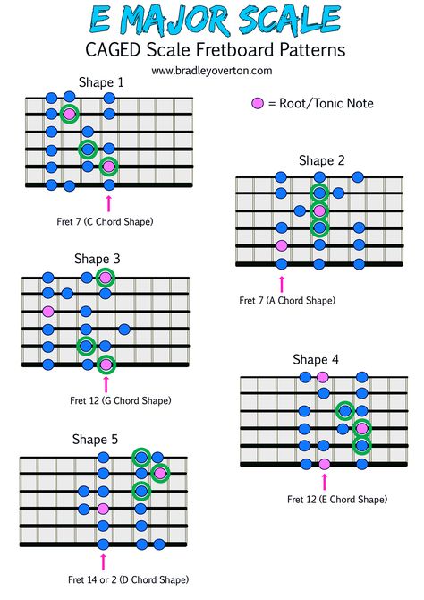 E Major CAGED SHAPES⁠ ⁠ ✅ 5 Shapes ⁠ ✅ Root Chord indicated⁠ ⁠ Here is my attempt at helping you demystify the CAGED patterns.  ⁠ ⁠ #guitarlesson #guitarskills #guitarmusictheory #guitarislife #learnguitaronline #easyguitar Caged System, Guitar Chords And Scales, Music Theory Guitar, Key Signatures, Pentatonic Scale, Guitar Fretboard, Ayurvedic Healing, Guitar Teacher, Guitar Scales