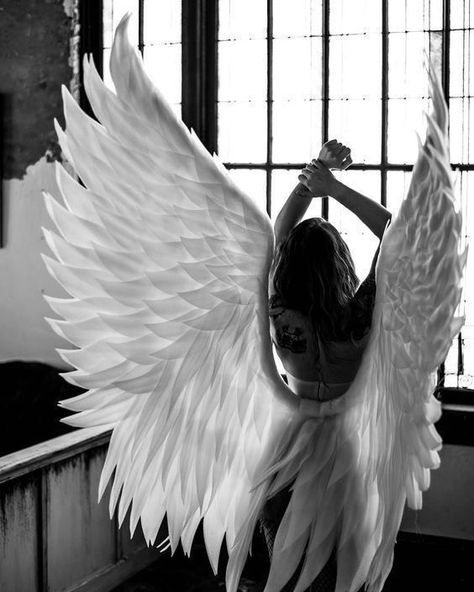 Angel Wings Photography, Wings Aesthetic, Fallen Angel Aesthetic, Fallen Angel Wings, Chicas Punk Rock, Angel Photography, Ange Demon, Wings Art, Angel Aesthetic