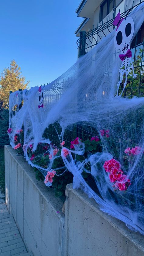 #halloween #halloweendecoration #aesthetic #roses #spooky #autumn Spooky Spring Aesthetic, Spooky Spring, Autumn Pictures, Spooky Autumn, Aesthetic Roses, Aesthetic Autumn, Spring Aesthetic, Fall Pictures, Drawing Inspiration