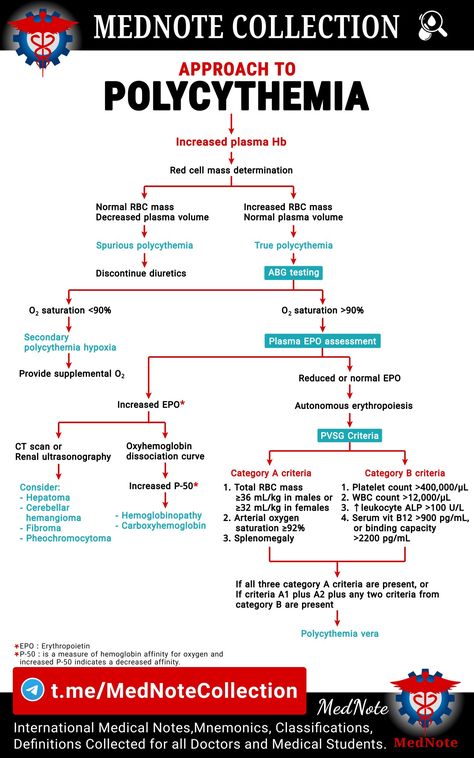 #medicine #medical_student #doctor #mednote_collection #approach #hematology Hematology Notes, Hematology Nursing, Health Assessment Nursing, Medical Terminology Study, Cardiology Nursing, Student Doctor, Medical Mnemonics, Medical Notes, Medicine Notes