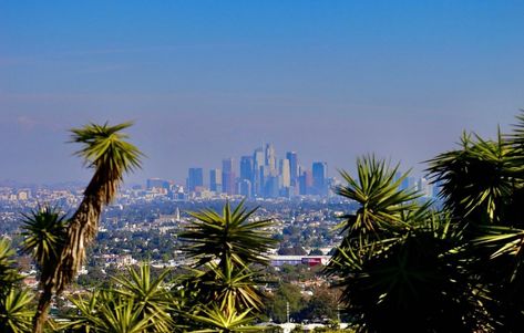 Baldwin Hills Scenic Overlook (Culver City) - All You Need to Know BEFORE You Go Baldwin Hills, Culver City California, San Gabriel Mountains, Photoshoot Locations, Take The Stairs, Culver City, Visitor Center, Clean Air, Park City