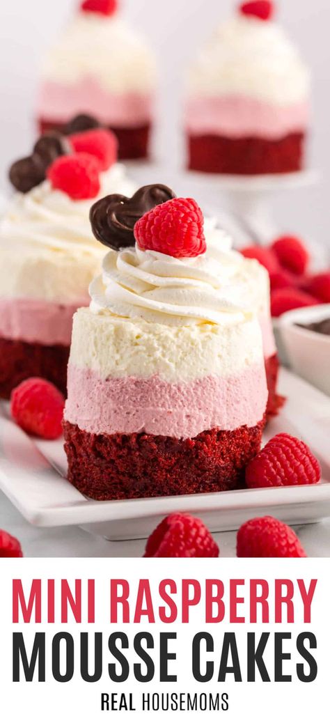 Mini Desserts For Valentines Day, Mini Fancy Desserts, Mini Layered Desserts, Mini Mousse Cake Recipes, Mini Raspberry Desserts, Individual Valentine Desserts, Mousse Mini Cake, Easy Fancy Dessert Recipes, Red Velvet Mousse