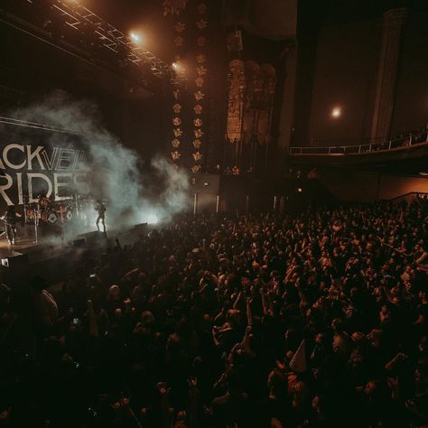 Black Veil Brides Aesthetic, Brides Aesthetic, Andy Black, Concert Aesthetic, Vision Board Manifestation, Andy Biersack, Veil Brides, Pet Rats, Black Veil Brides