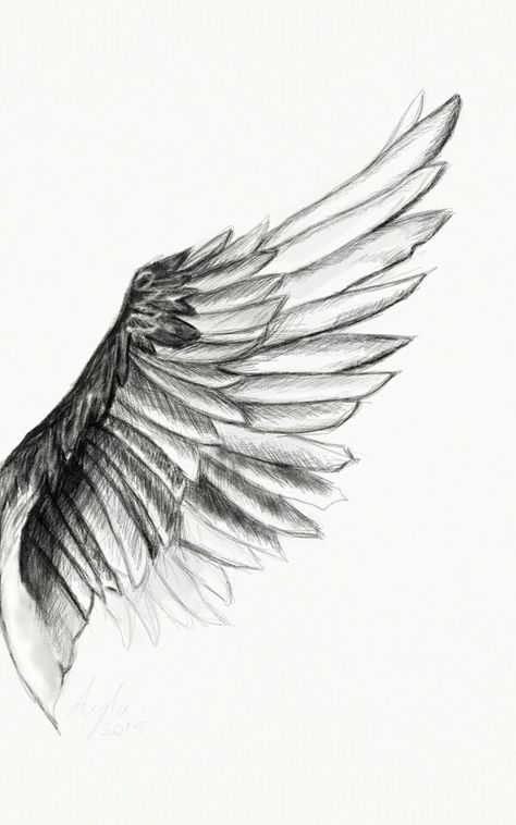 Phoenix Drawing, Tattoo Feather, Wing Tattoo Designs, Wings Drawing, Angel Wings Tattoo, Wing Tattoo, Manhattan Project, Wings Art, Celtic Tattoos