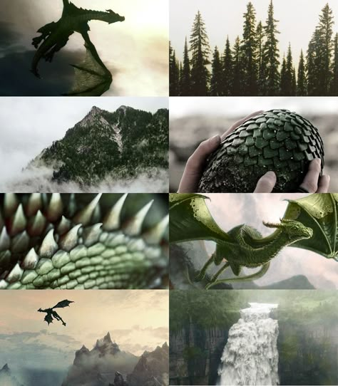 Dragon Moodboard Aesthetic, Green Dragon Aesthetic, Eragon Aesthetic, Dragon Rider Aesthetic, Dragon Moodboard, Dragon Keeper, Inheritance Cycle, Mythical Dragons, Targaryen Aesthetic